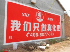 贡山刷墙广告”蕴含了时代命题