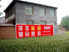 贡山如何让墙体广告展现最大化效果