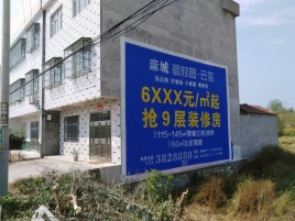 贡山墙体广告质量分析