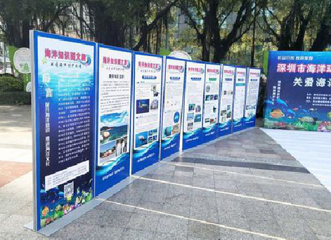 贡山KT板的种类和知识。